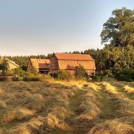 Ziegeleihof Inmitten Von Wiesen Und Waeldern Degenershausen Bagian luar foto
