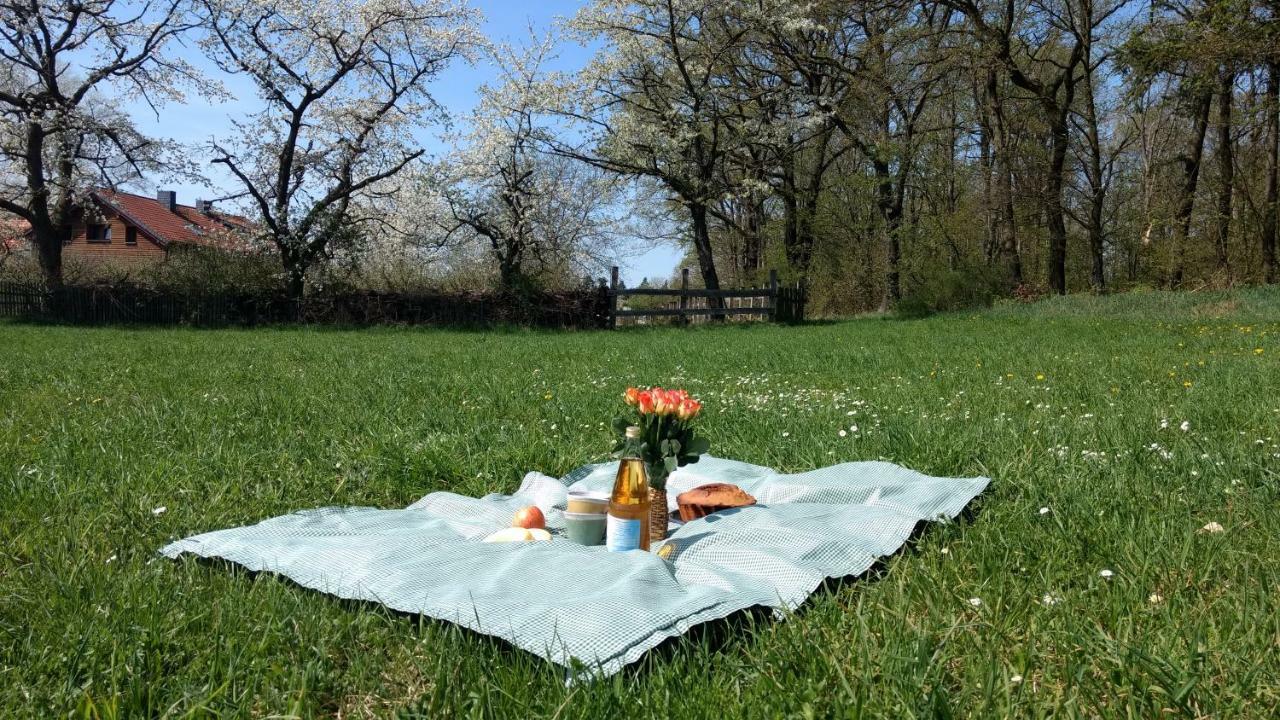 Ziegeleihof Inmitten Von Wiesen Und Waeldern Degenershausen Bagian luar foto